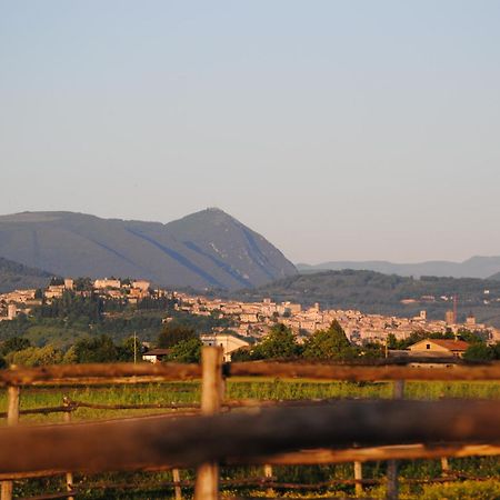 Agriturismo Il Barco Спелло Экстерьер фото