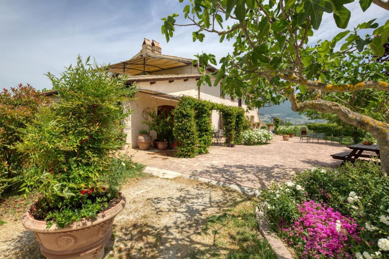 Agriturismo Il Barco Спелло Экстерьер фото