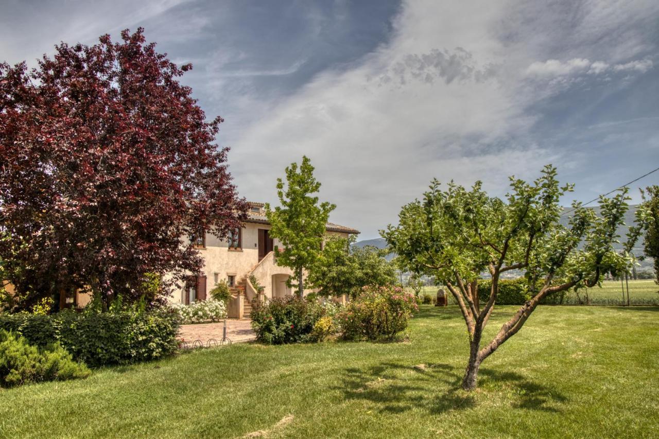 Agriturismo Il Barco Спелло Экстерьер фото