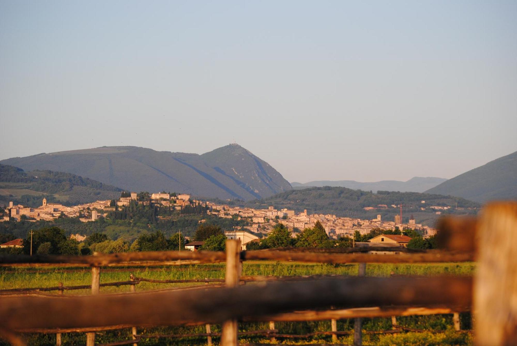 Agriturismo Il Barco Спелло Экстерьер фото