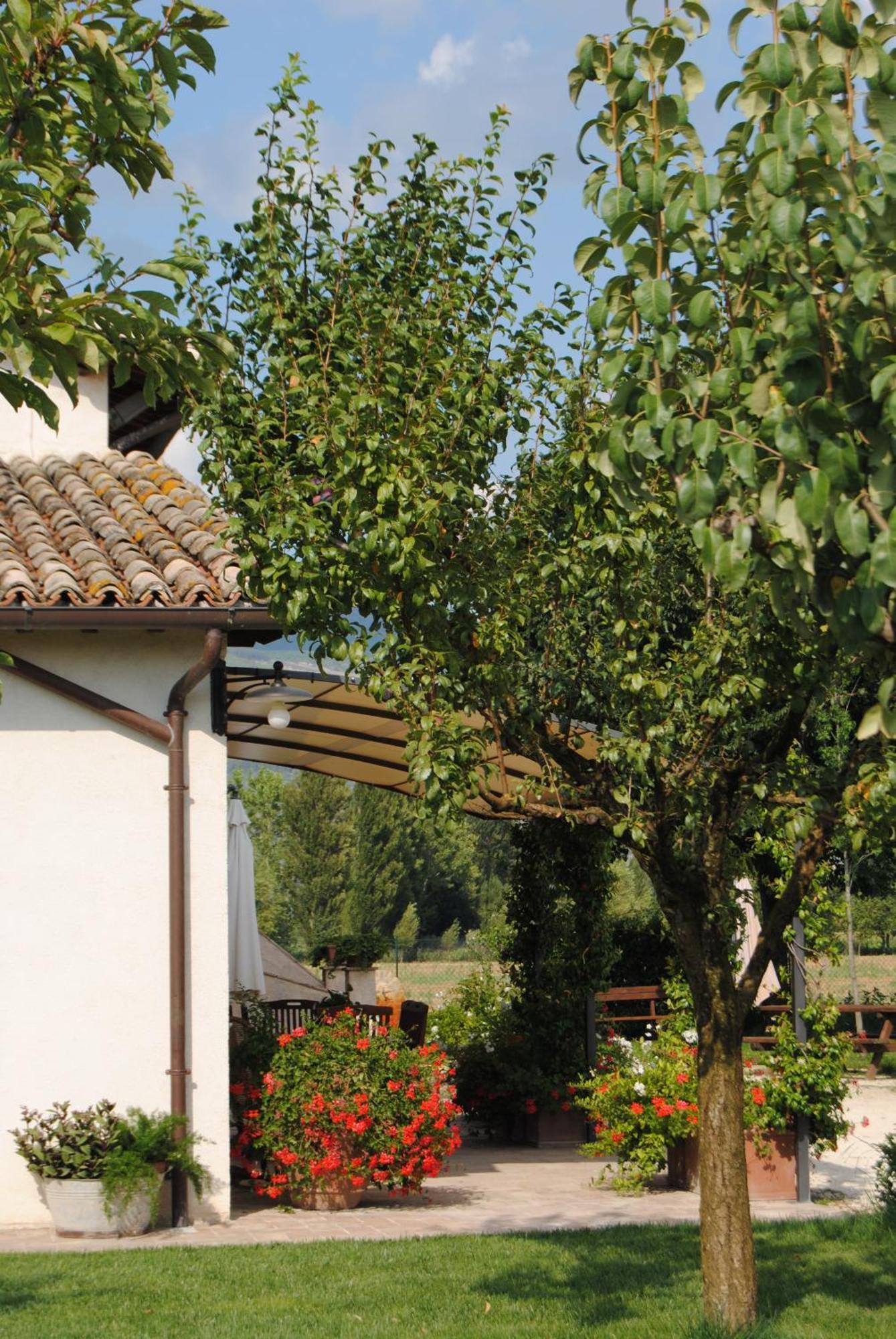 Agriturismo Il Barco Спелло Экстерьер фото
