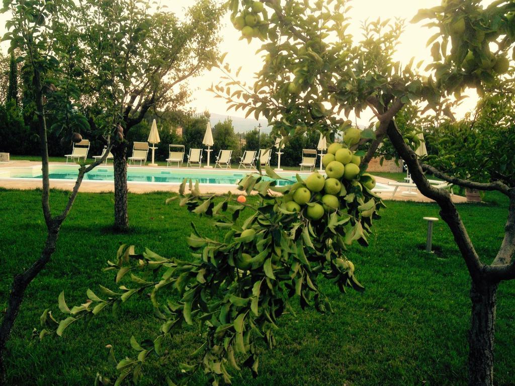 Agriturismo Il Barco Спелло Экстерьер фото