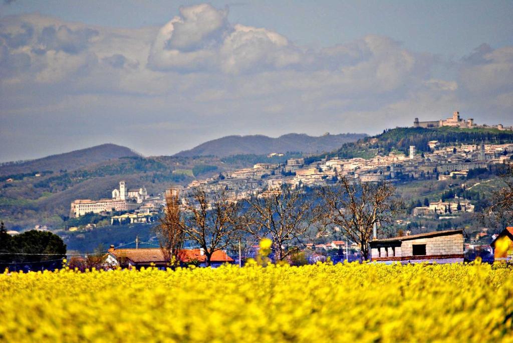 Agriturismo Il Barco Спелло Экстерьер фото